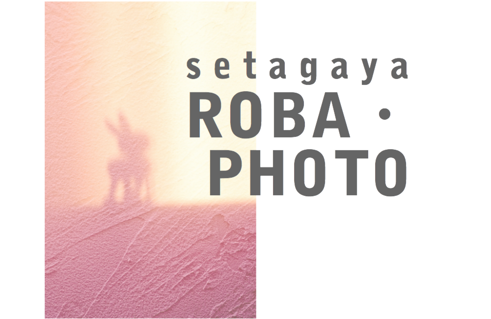 せたがやロバフォト