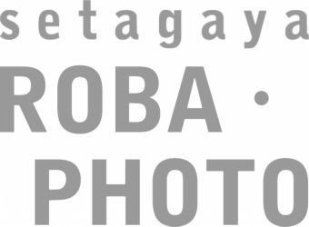 せたがやロバフォト