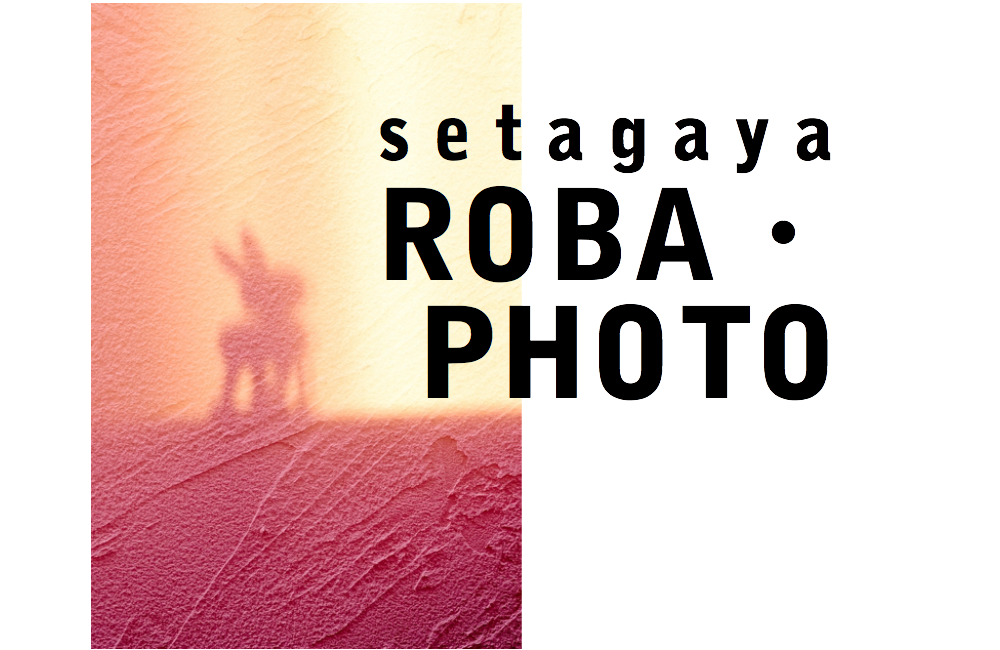 せたがやロバフォト